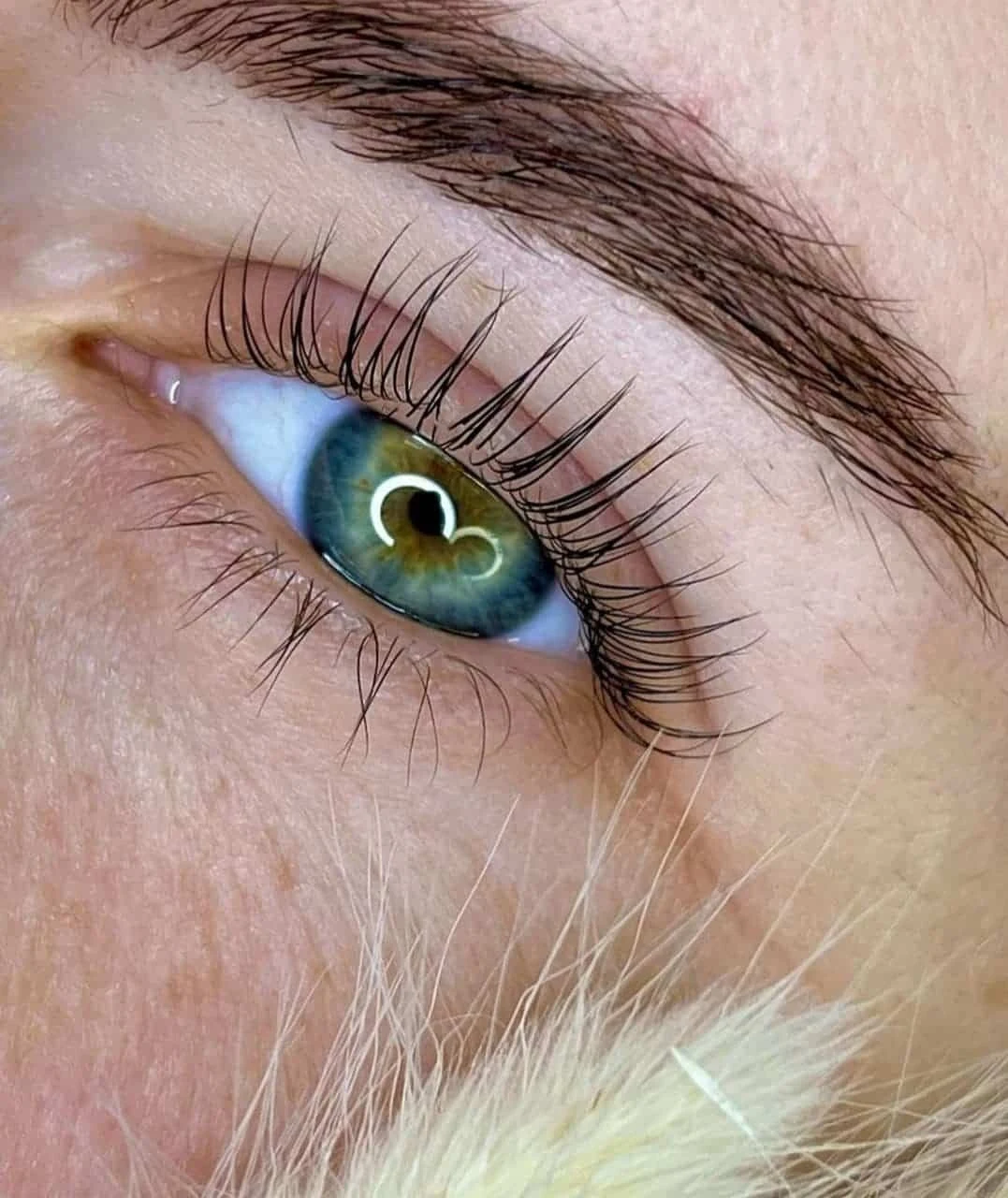 Lash extension close-up at Faciallash Lounge in Fort Myers